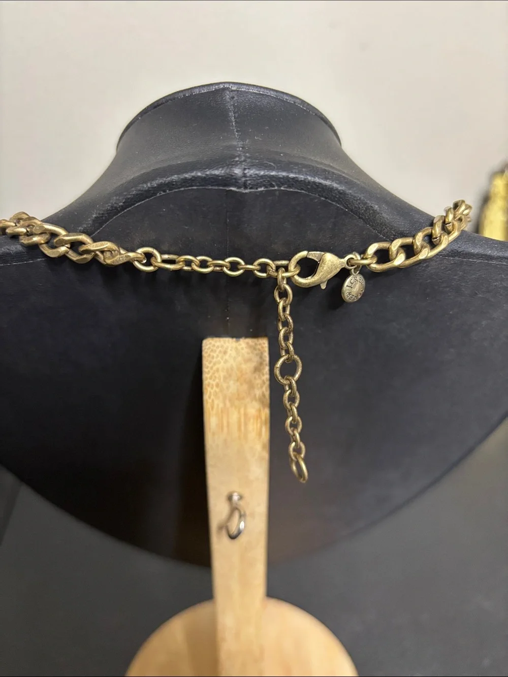 J. Crew Tortoiseshell-Link Necklace Brown Amber Gold Tone Chain